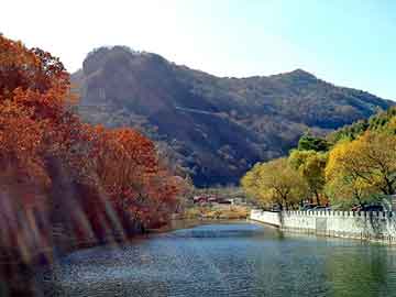 新澳天天开奖资料大全旅游团，青岛九中分校